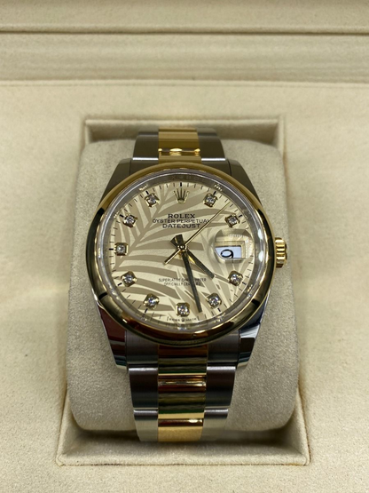 RLX Datejust 36mm 126203 Golden Palm Dial Domed Bezel Oyster Bracelet