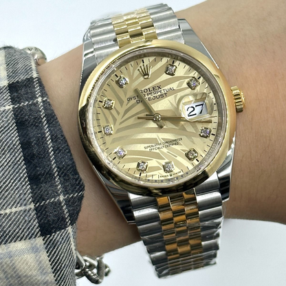 RLX Datejust 36mm 126203 Golden Palm Dial Domed Bezel Oyster Bracelet